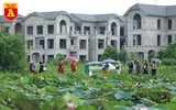 Dịu dàng mùa sen Hà Nội